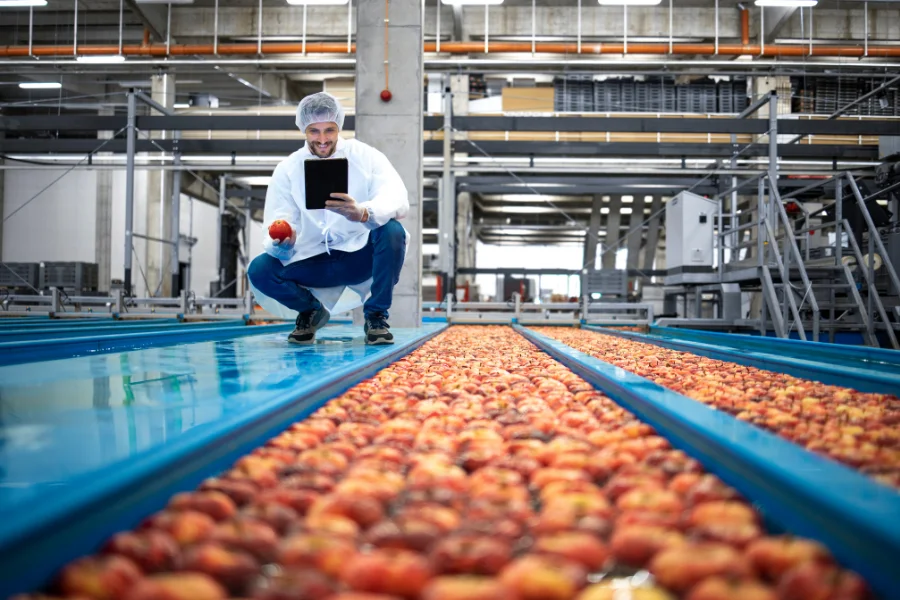 Food sub-lots and sampling: check what the problem concerns (production quality control)